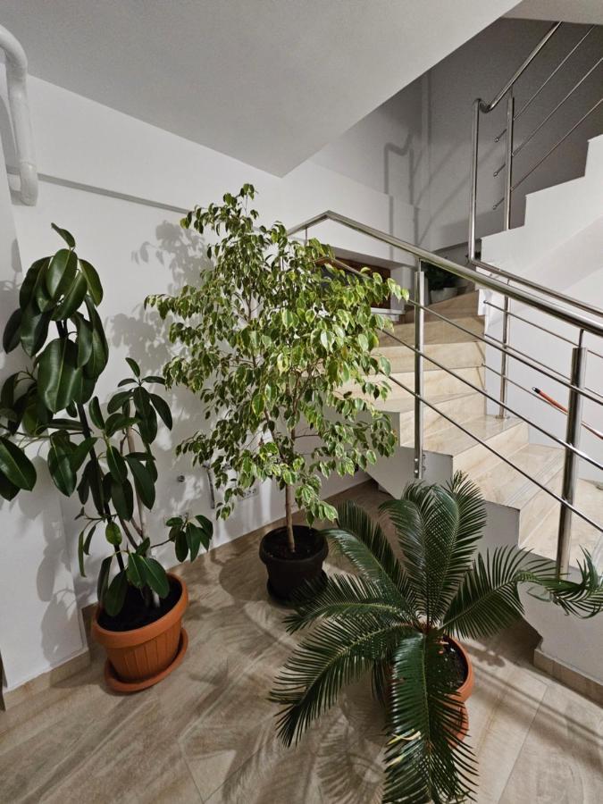 Didi Apartament Craiova Eksteriør bilde